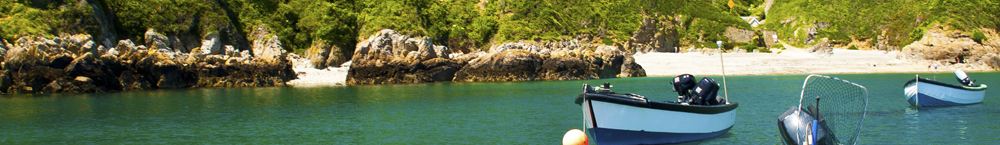 Guernsey taxation